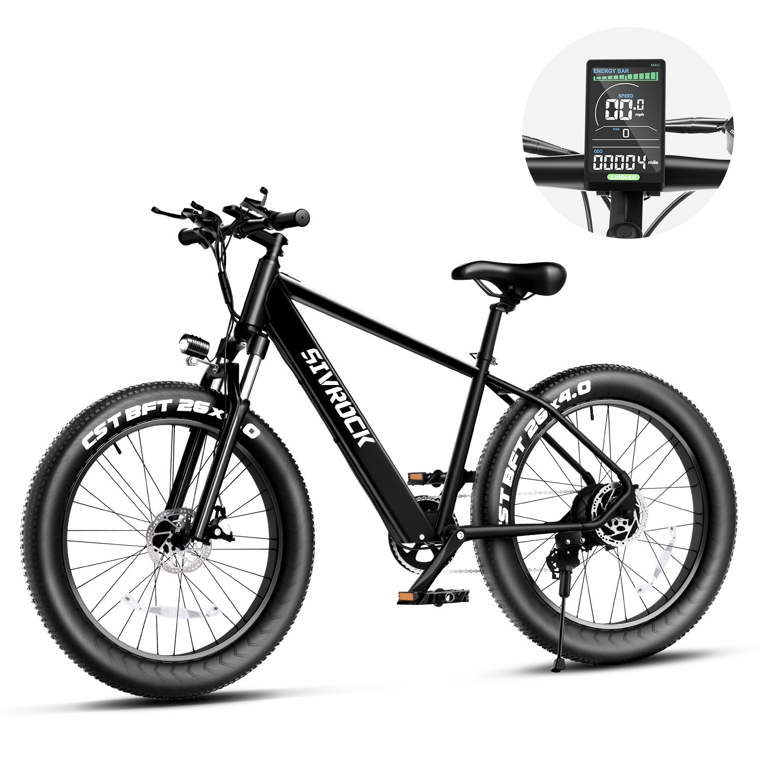 Electric Mtn Bike Adults, Fat Tires