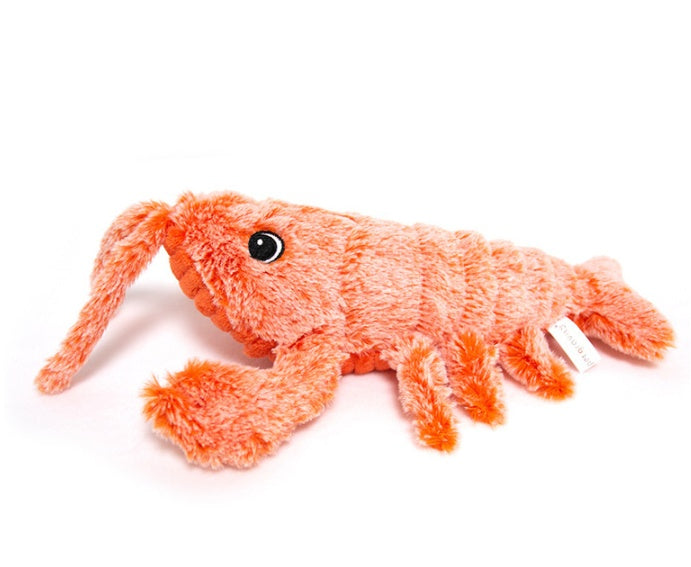 Jumping Shrimp Funny Cat