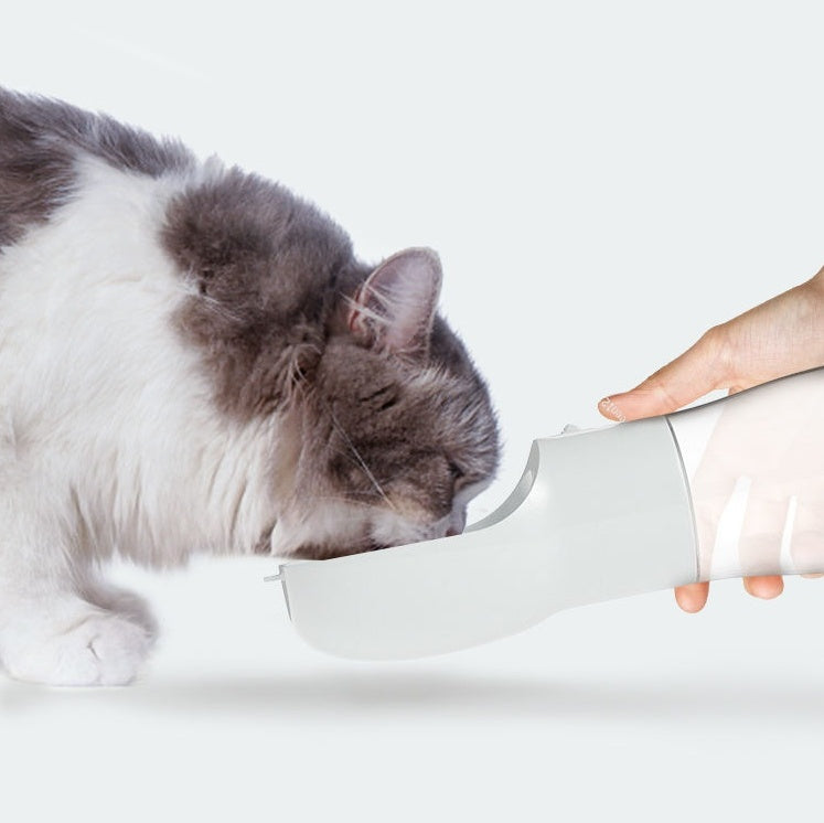 Traveling Dog Water Dispenser