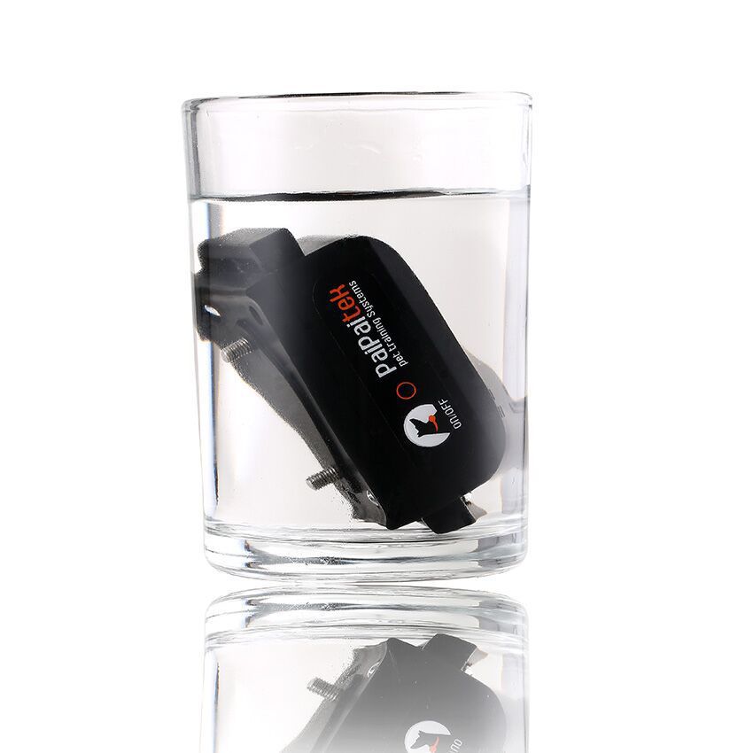 Dog Training Device Anti-Barking 2 in 1
