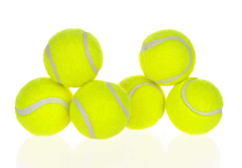 Dog Pet Interactive Ball Launcher