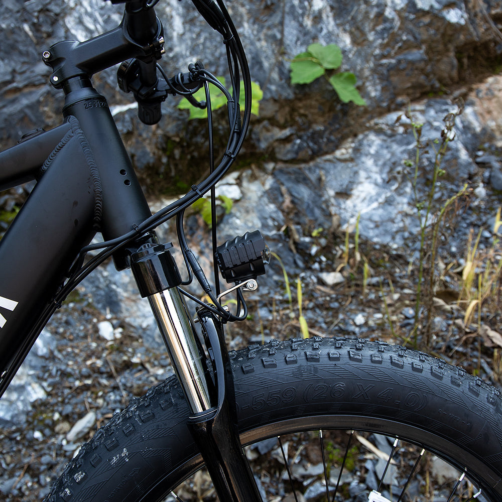 Electric Mtn Bike Adults, Fat Tires