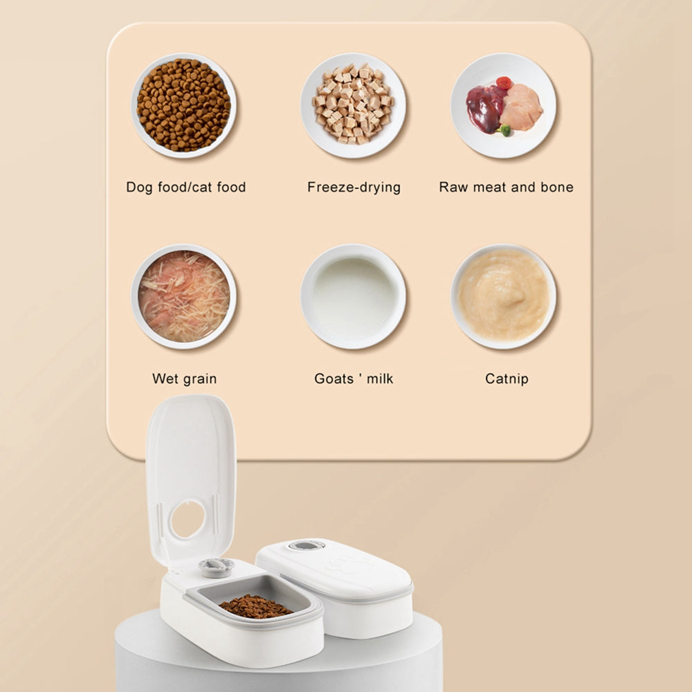 Pet Feeder Cats Dogs