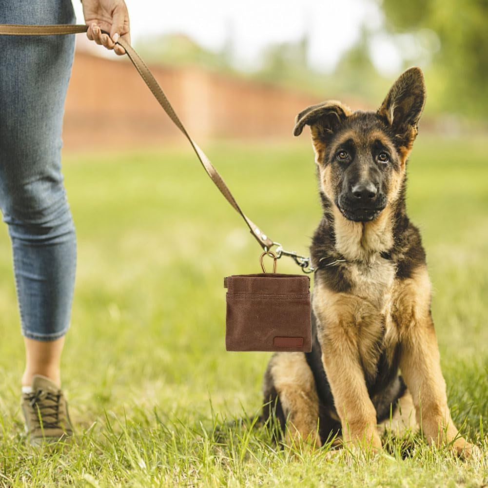 Outdoor Doggy Snack Bag