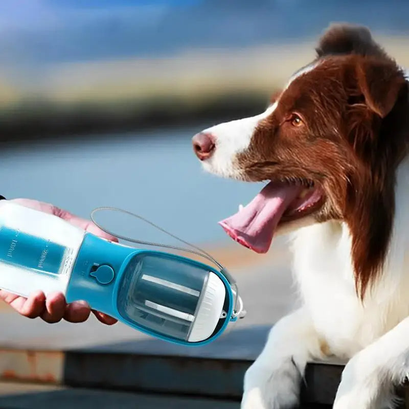 Three-in-one Pet Cups