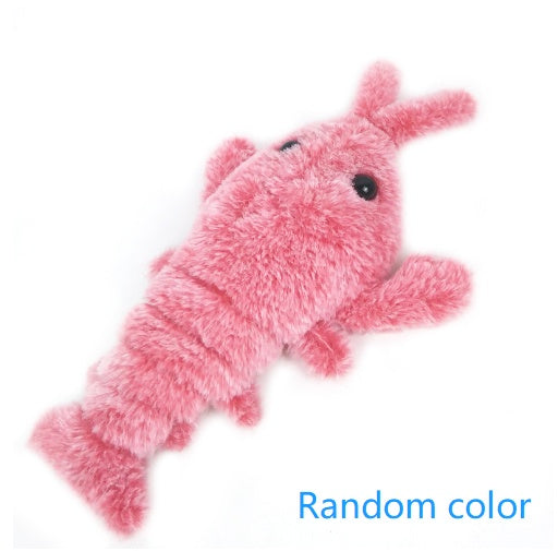 Jumping Shrimp Funny Cat