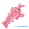 Jumping Shrimp Funny Cat