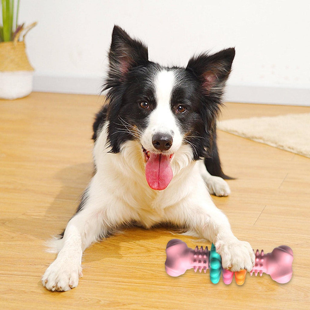 Chew Toy Dog Bone indestructible