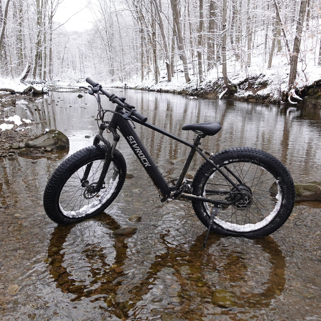 Electric Mtn Bike Adults, Fat Tires