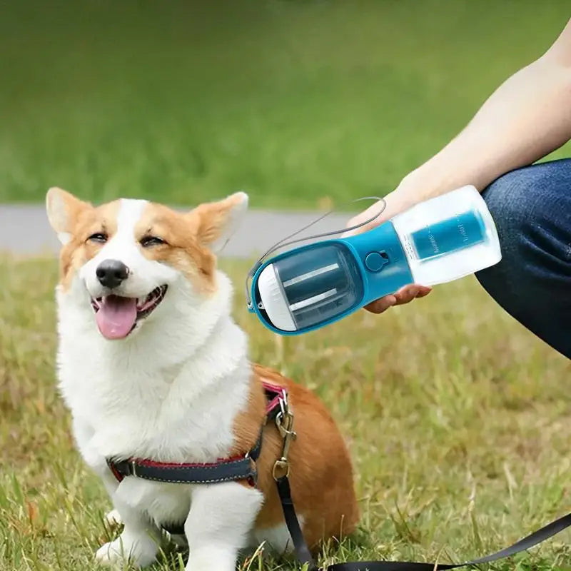 Three-in-one Pet Cups