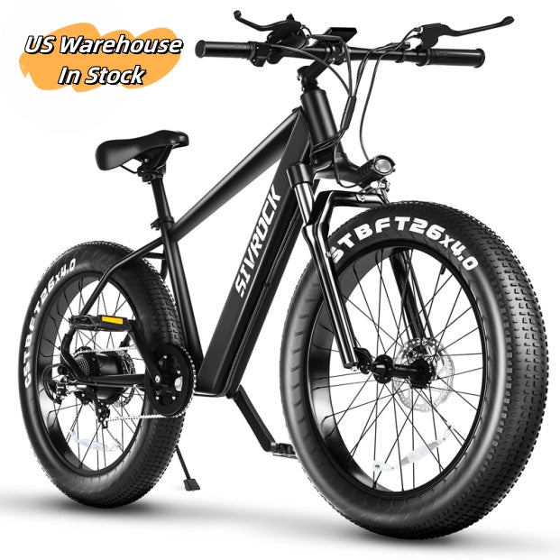 Electric Mtn Bike Adults, Fat Tires