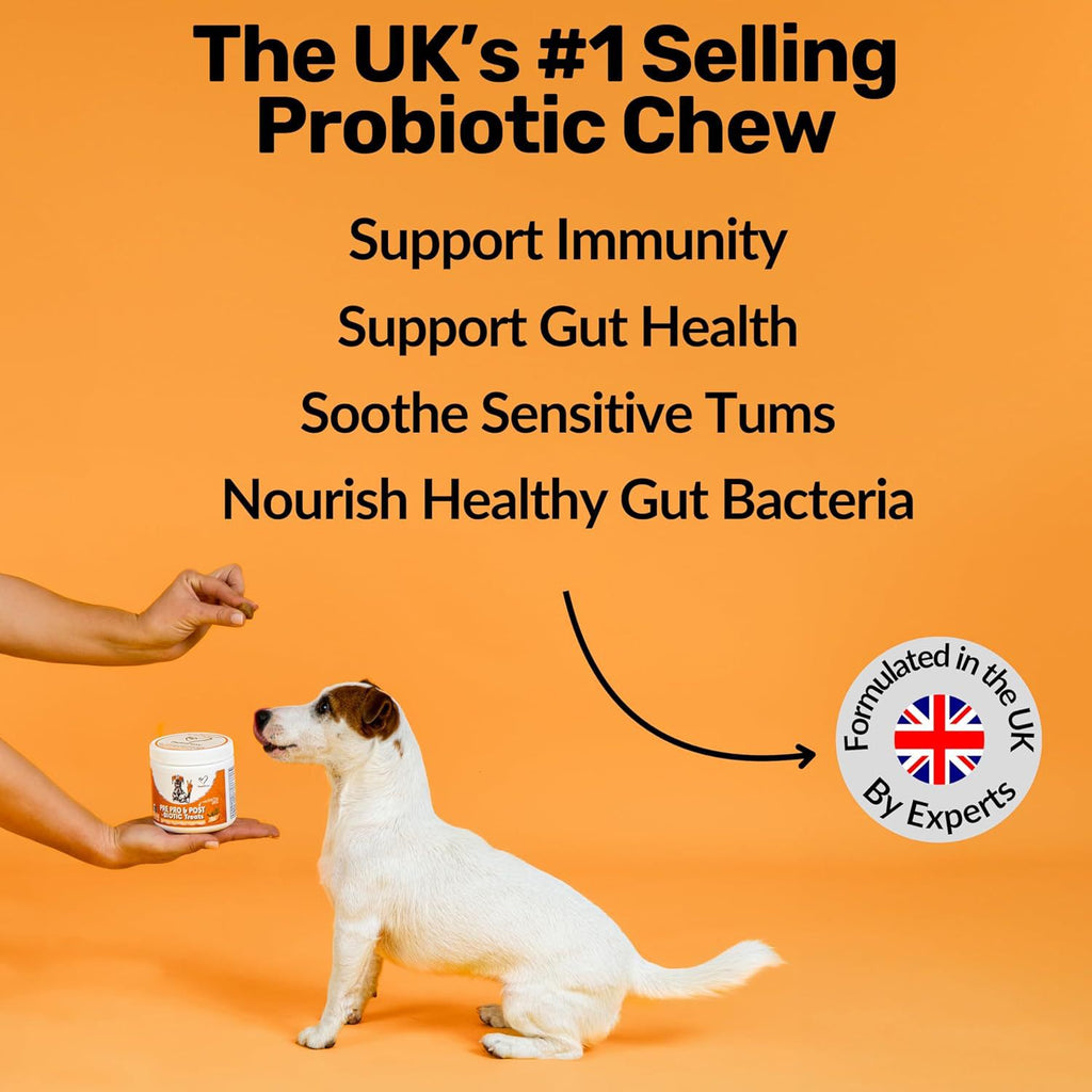 Dog Prebiotics
