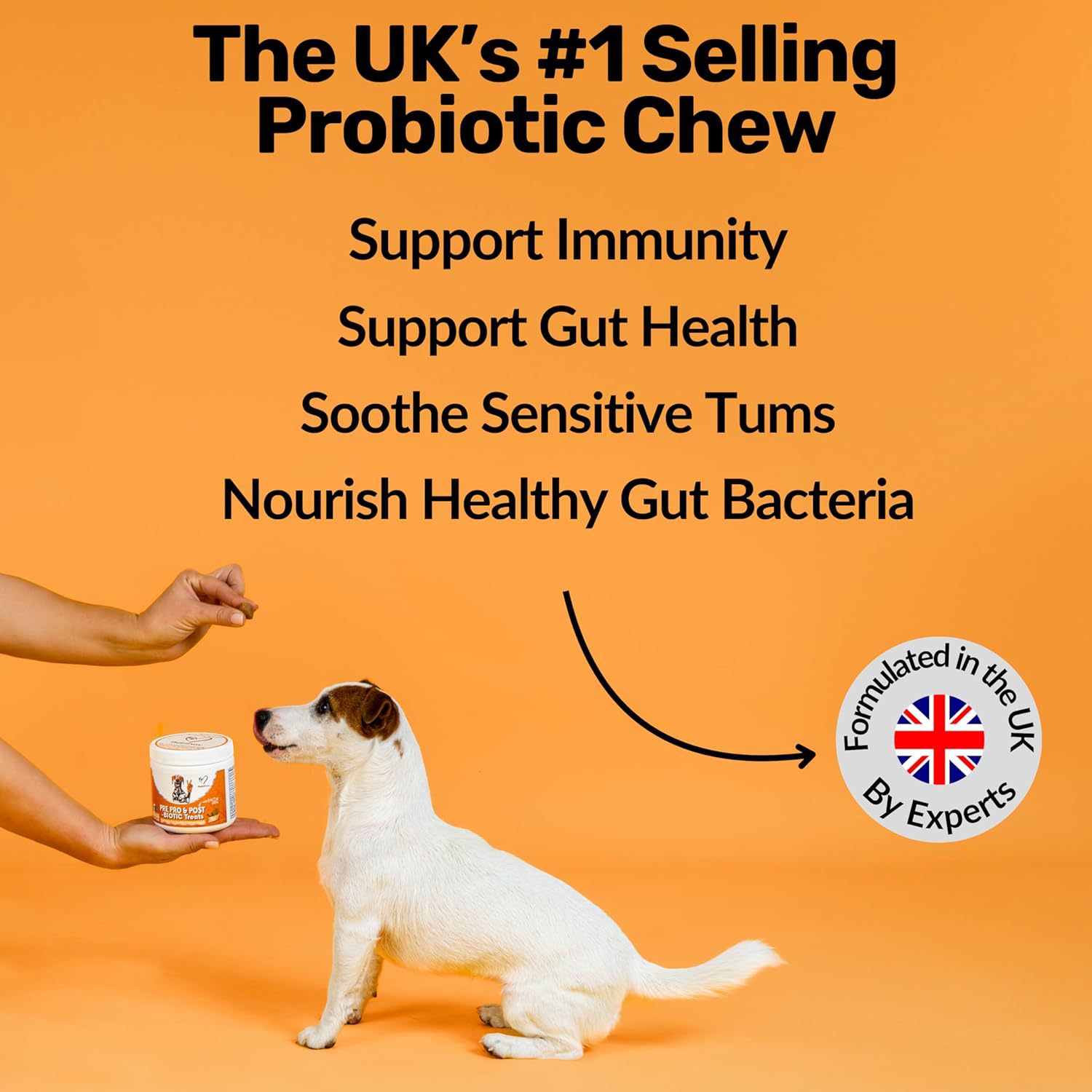 Dog Prebiotics