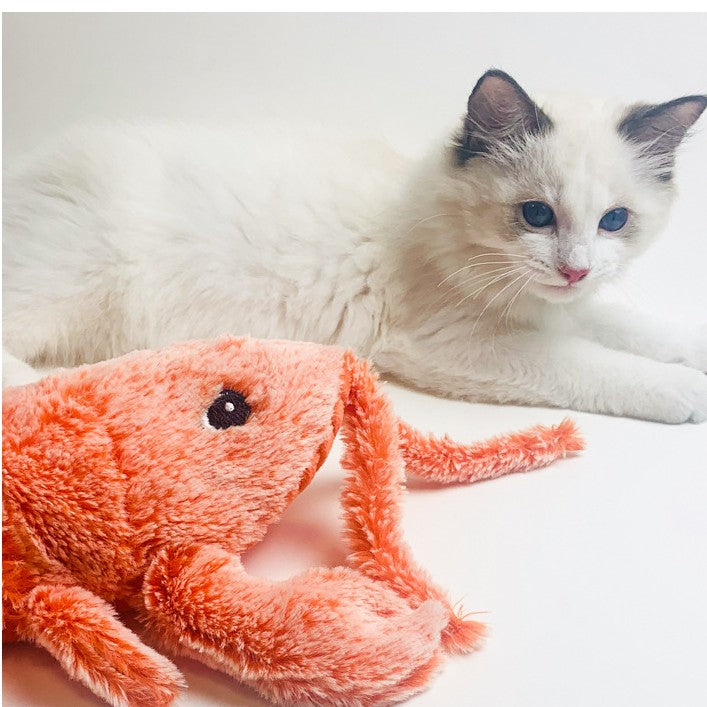 Jumping Shrimp Funny Cat