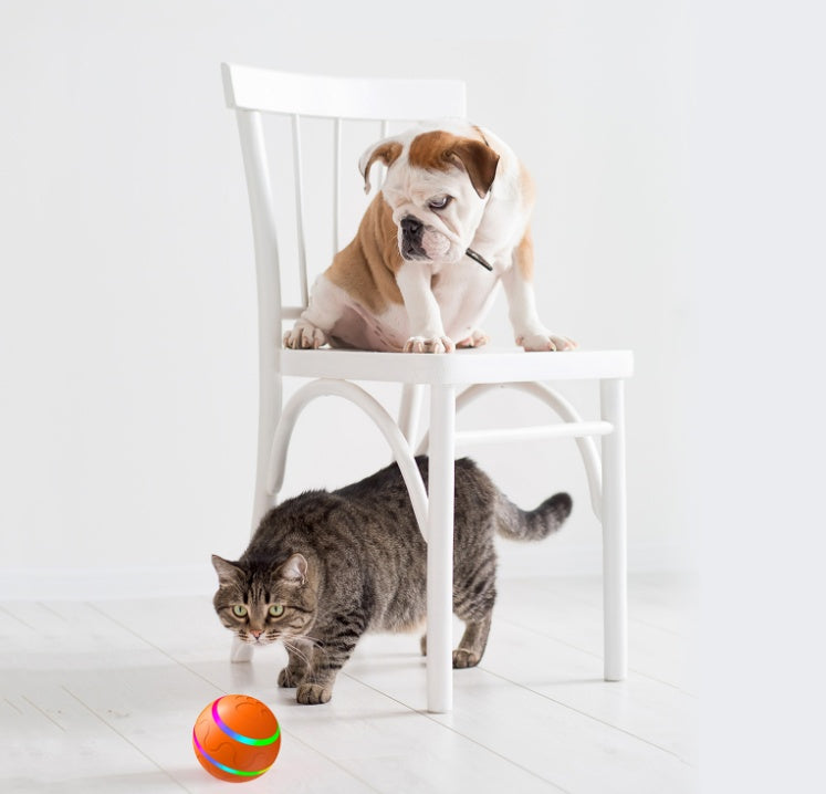 Cat Toys Self Rotating Ball