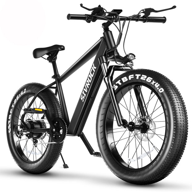 Electric Mtn Bike Adults, Fat Tires