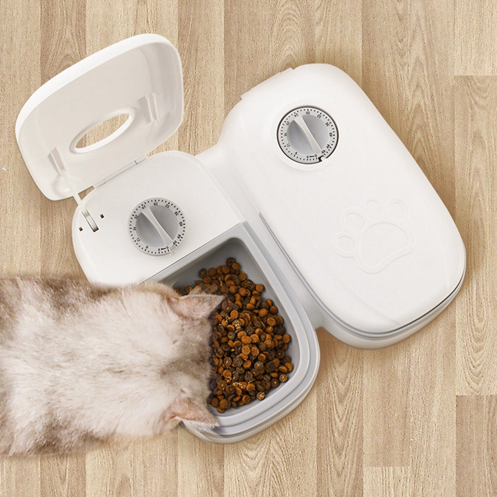 Pet Feeder Cats Dogs