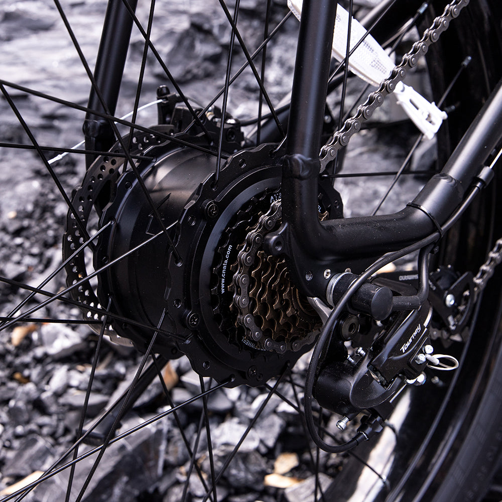 Electric Mtn Bike Adults, Fat Tires