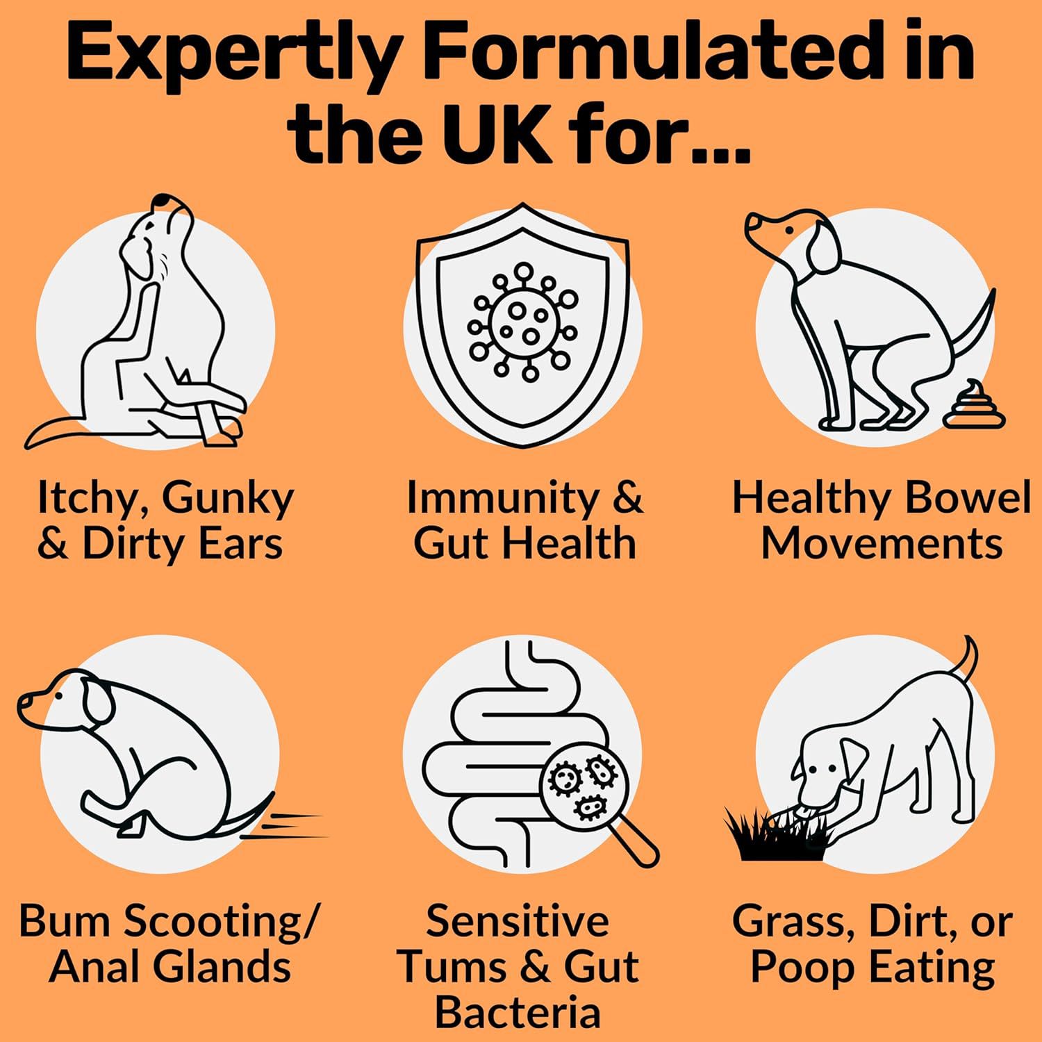 Dog Prebiotics