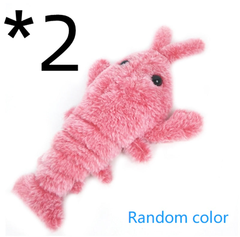 Jumping Shrimp Funny Cat