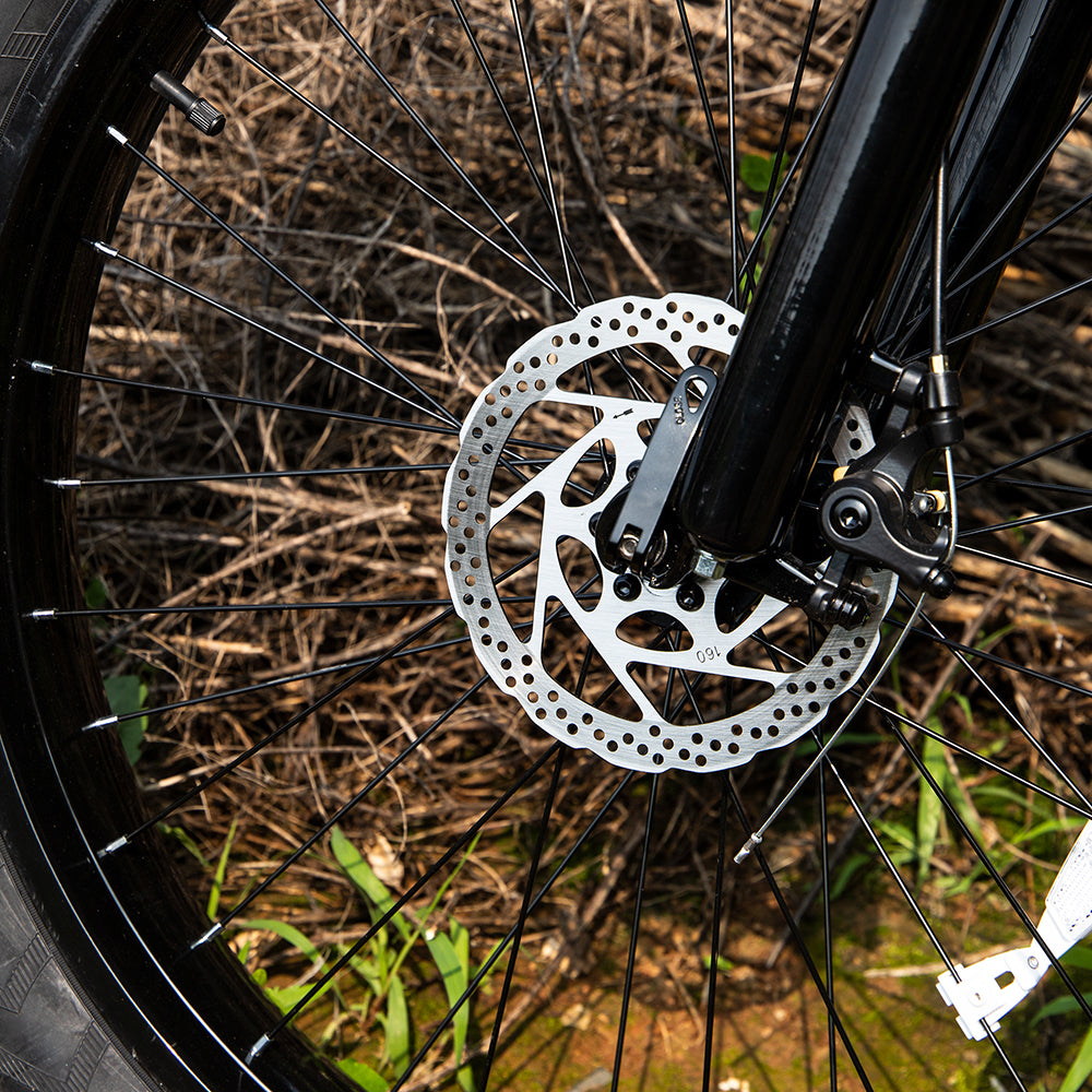 Electric Mtn Bike Adults, Fat Tires