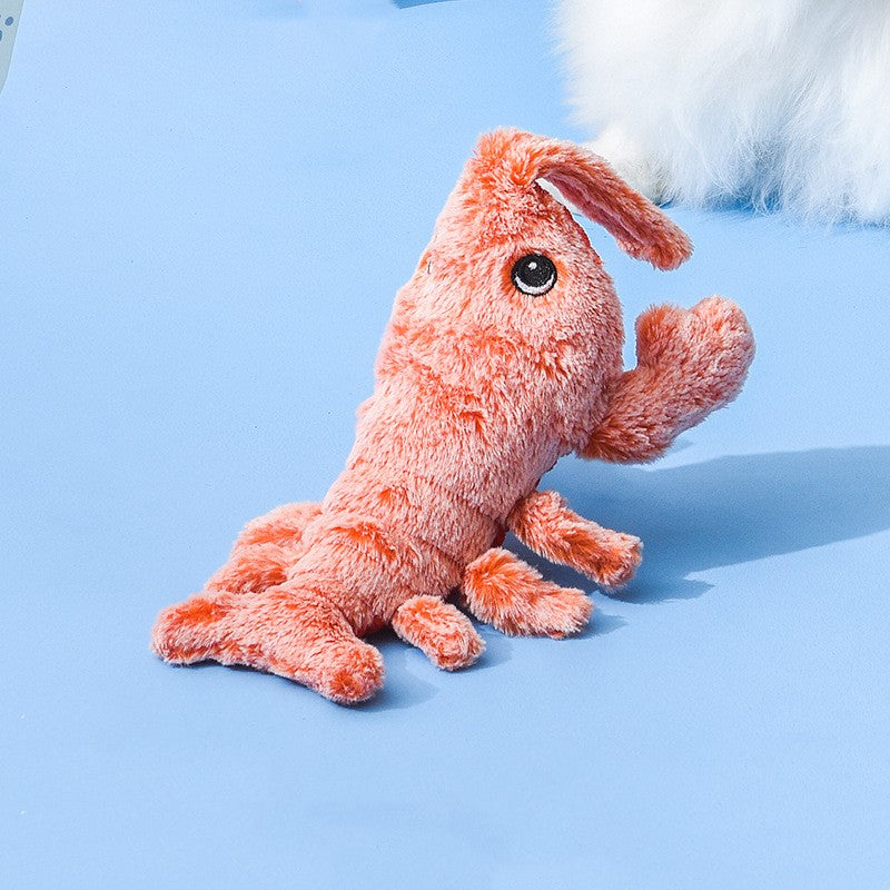 Jumping Shrimp Funny Cat
