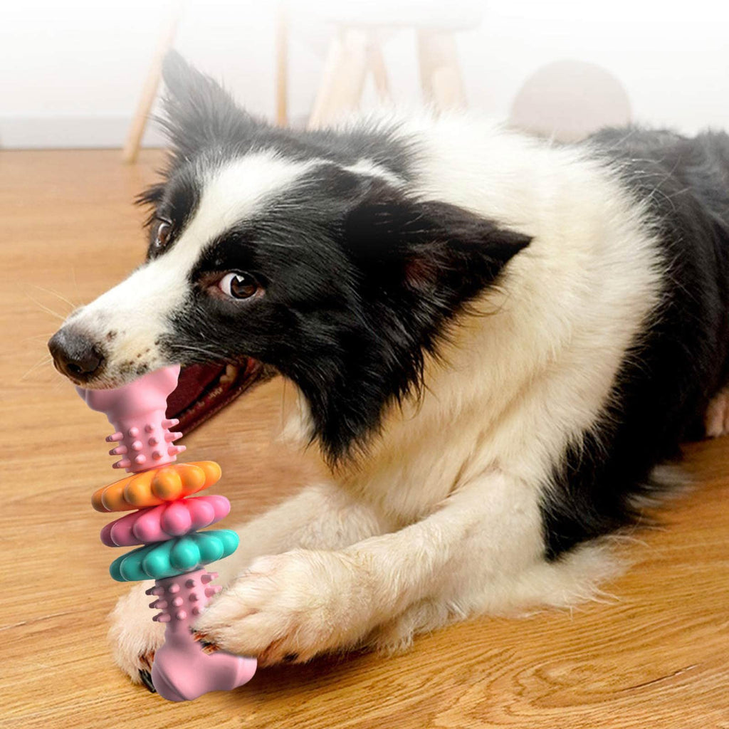 Chew Toy Dog Bone indestructible