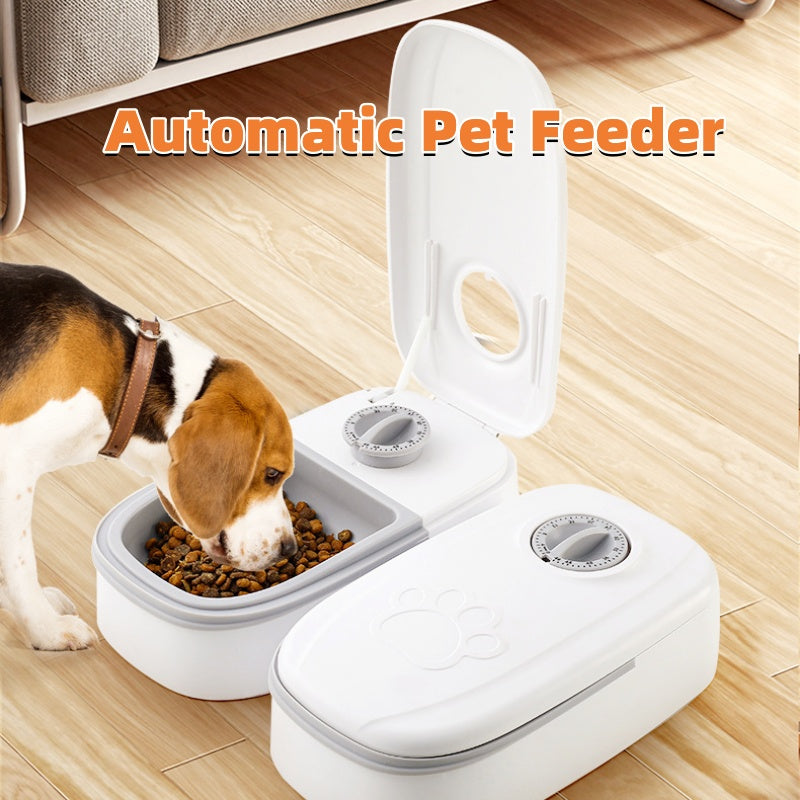 Pet Feeder Cats Dogs
