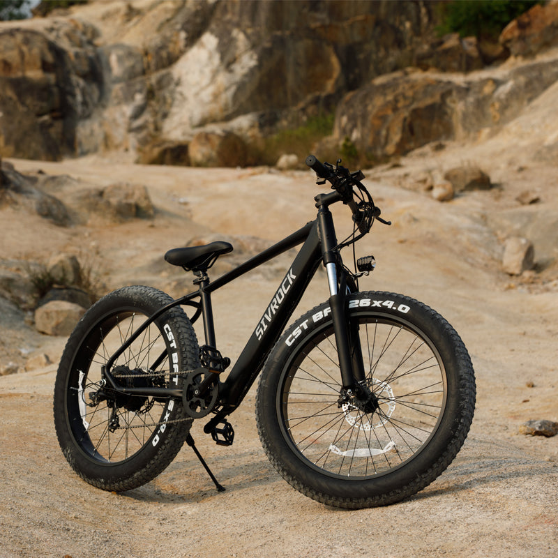 Electric Mtn Bike Adults, Fat Tires
