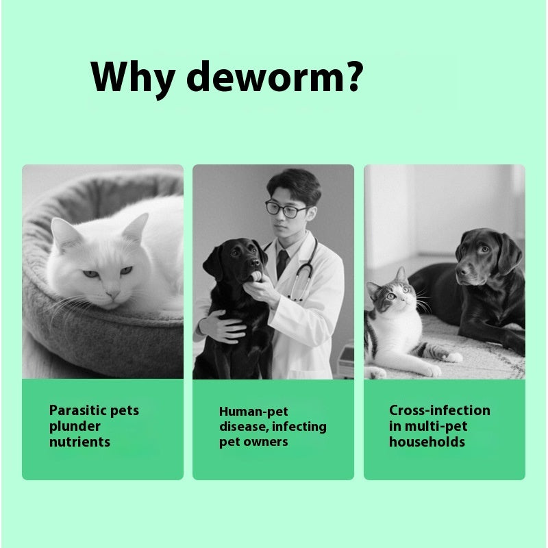 Pet Itching Relief