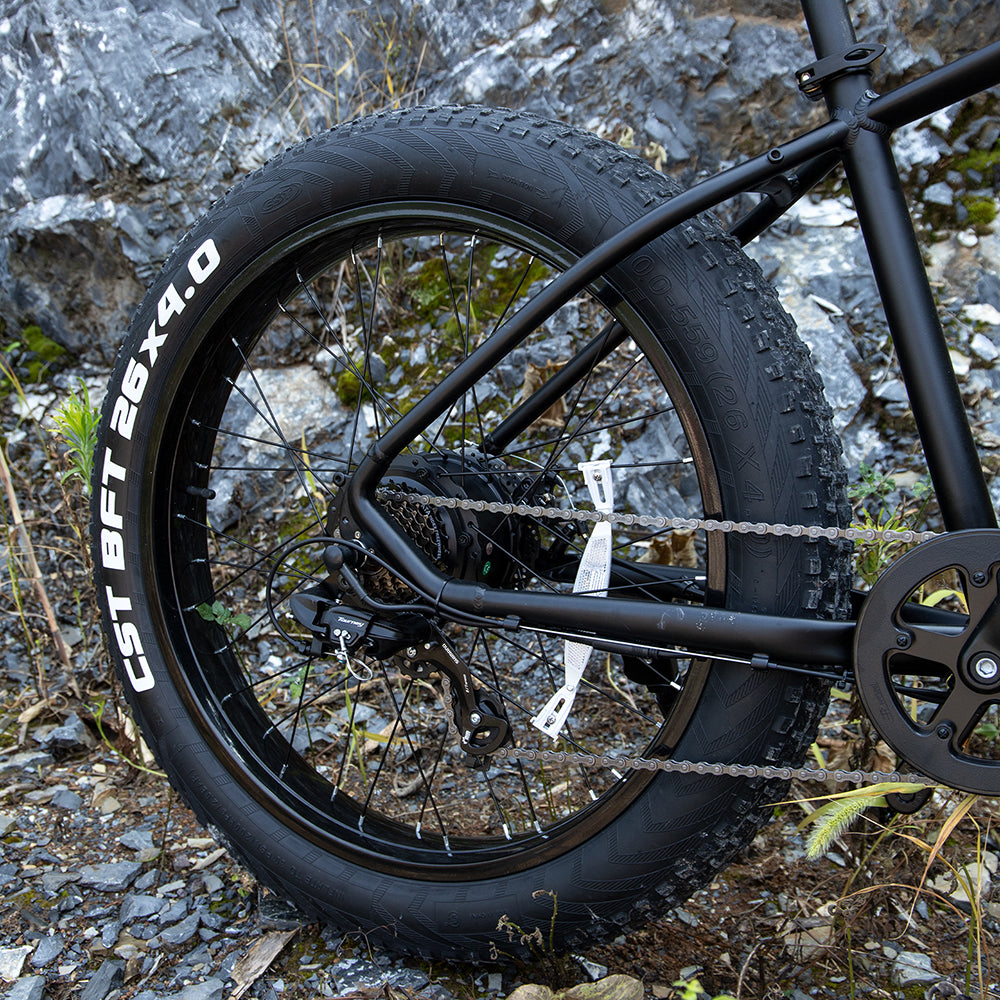 Electric Mtn Bike Adults, Fat Tires