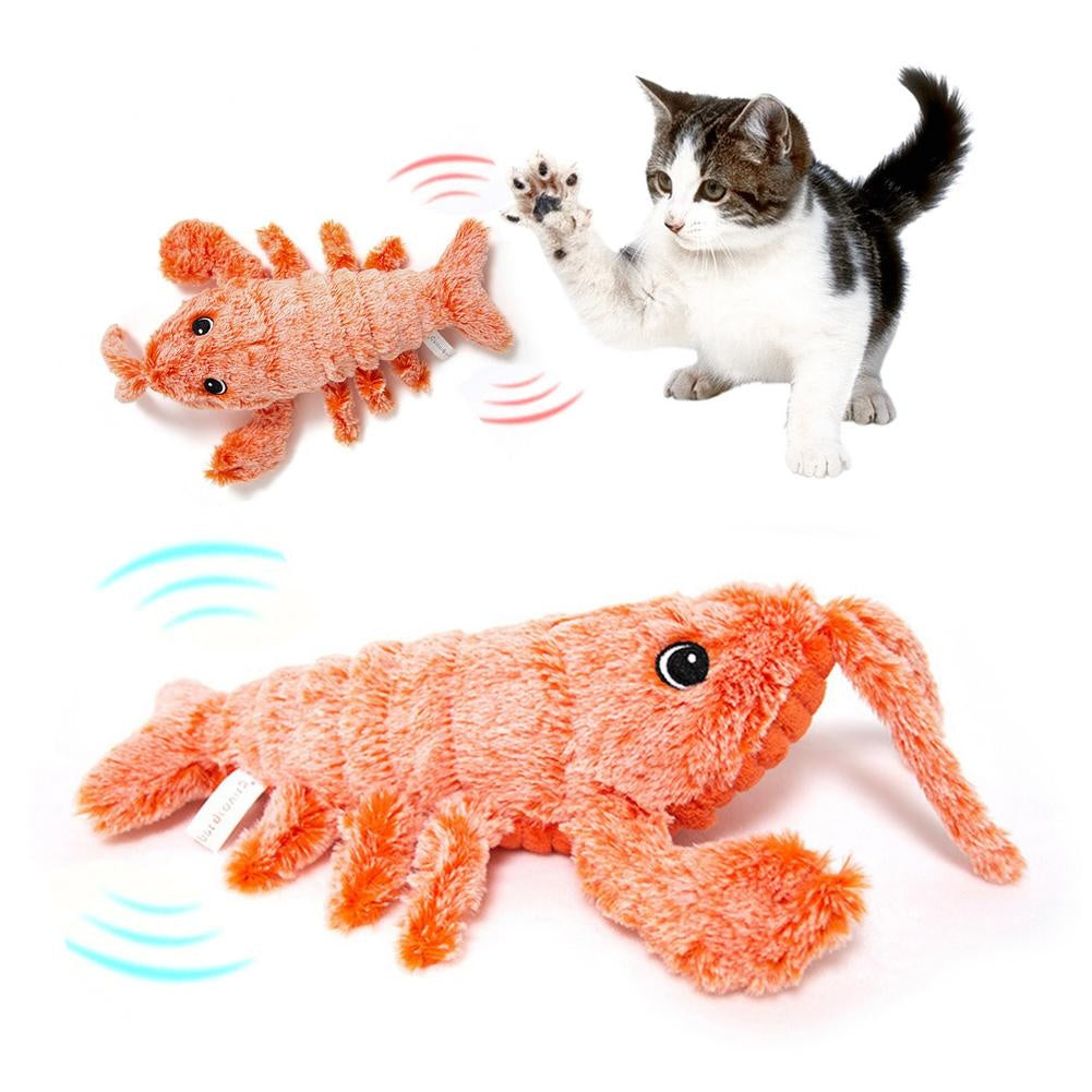 Jumping Shrimp Funny Cat