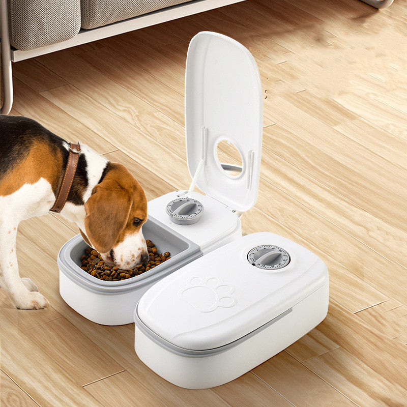 Pet Feeder Cats Dogs